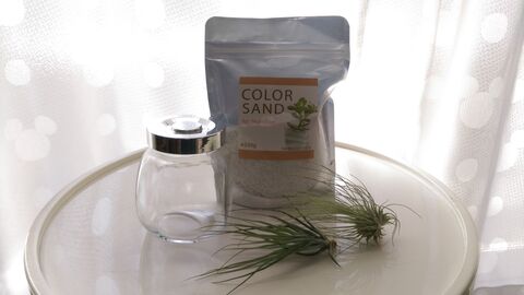 100均で作る 丸瓶 エアプランツでかわいいテラリウム 暮らしニスタ 100均で作る 丸瓶 エアプランツでかわいいテラリウム 暮らしニスタ