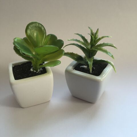 100均フェイクグリーンをリメイク 玄関に便利 な小物入れ 暮らしニスタ 100均フェイクグリーンをリメイク 玄関に便利 な小物入れ 暮らしニスタ