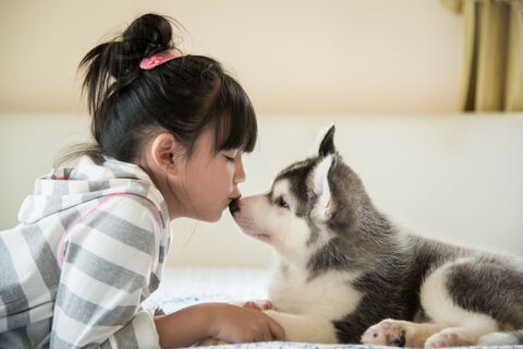 キスの習慣 が夫婦仲や子どもの成長にプラスの効果をもたらす 暮らしニスタ キスの習慣 が夫婦仲や子どもの成長にプラスの効果をもたらす 暮らしニスタ