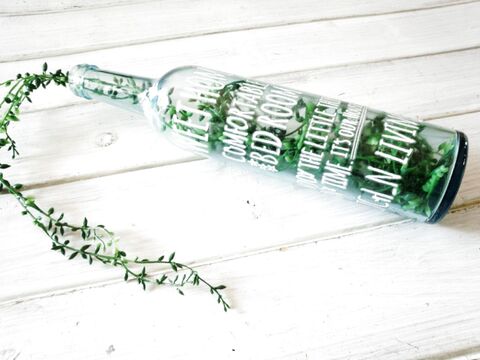 1分で完成 お酒の空き瓶でカフェ風グリーンインテリアdiy 暮らしニスタ 1分で完成 お酒の空き瓶でカフェ風グリーンインテリアdiy 暮らしニスタ