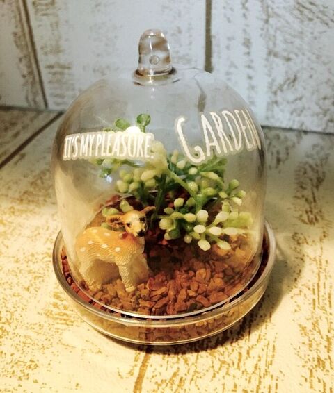 おしゃれなテラリウムを楽しもう 基本の作り方からおしゃれアイデアまで 暮らしニスタ おしゃれなテラリウムを楽しもう 基本の作り方からおしゃれアイデアまで 暮らしニスタ