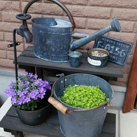 賃貸マンションでもベランダガーデニングを楽しむ方法10選 暮らしニスタ