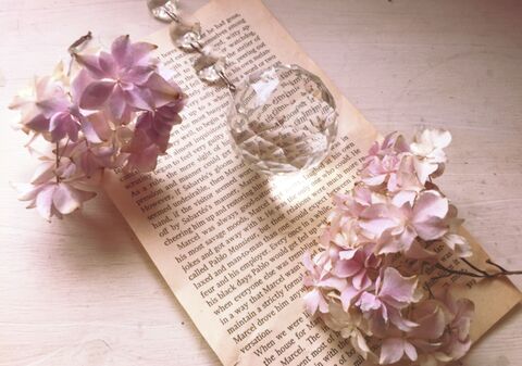 春の紫陽花を綺麗にドライフラワーにする方法 暮らしニスタ