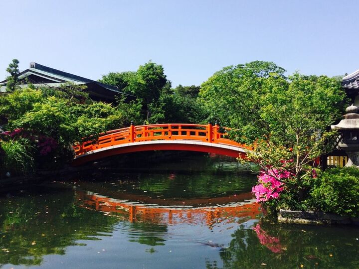 永遠の愛を誓うパワースポット♡世界遺産・二条城の横にひっそりと佇む「神泉苑」