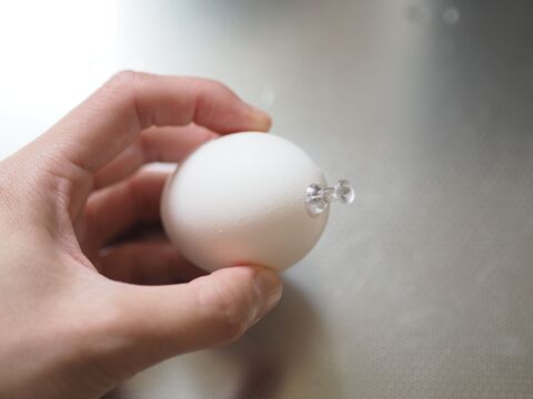 ゆで卵の殻をつるんとむくには どの方法が一番ラクなのか 試してみた 暮らしニスタ ゆで卵の殻をつるんとむくには どの方法が一番ラクなのか 試してみた 暮らしニスタ