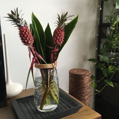 キャンドゥのガラス瓶を夏っぽい花瓶に 暮らしニスタ キャンドゥのガラス瓶を夏っぽい花瓶に 暮らしニスタ