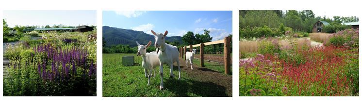 初夏 夏休みにオススメ 北海道だからできる がつまった 家族旅行観光スポット 暮らしニスタ