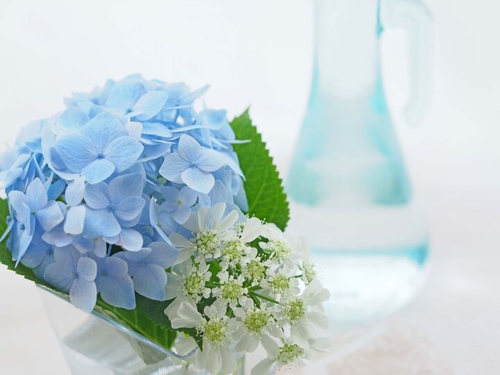 【インテリア風水】お掃除&旬の花を飾ってじめじめ梅雨でも運気アップ!