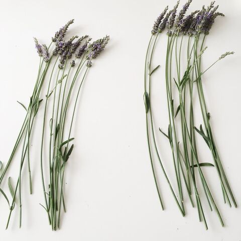 編むだけ ラベンダースティックの作り方 暮らしニスタ 編むだけ ラベンダースティックの作り方 暮らしニスタ