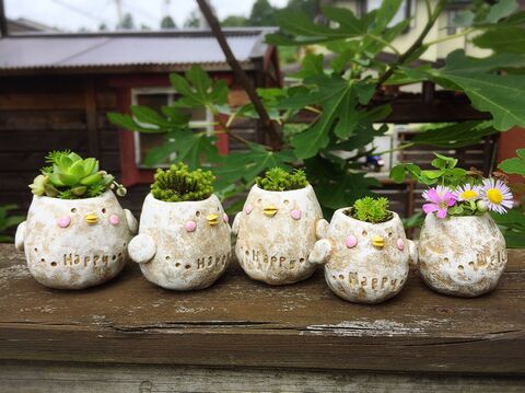 陶器粘土で雑草も可愛く 卵鳥さん鉢の作り方 暮らしニスタ 陶器粘土で雑草も可愛く 卵鳥さん鉢の作り方 暮らしニスタ