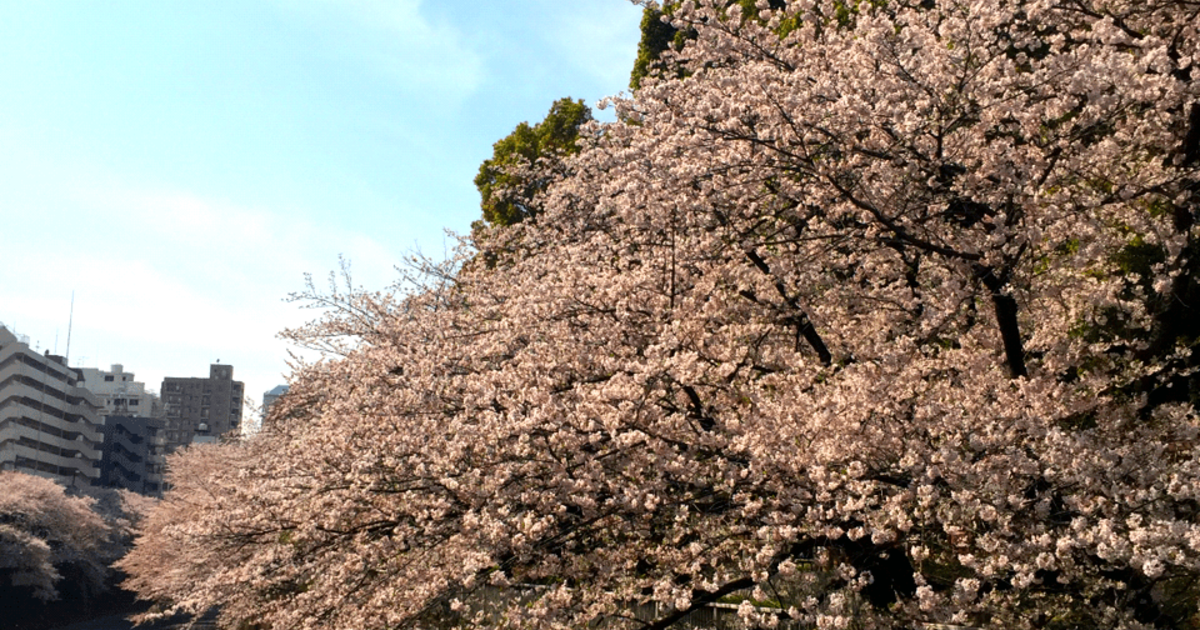 土屋鞄 伊勢丹派は争奪戦 コモランドセルnews 暮らしニスタ