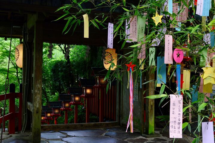 七夕の由来やはじまりとは?日本人なら知っておきたい基礎知識