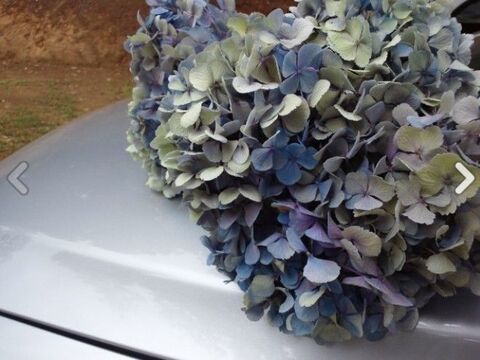 紫陽花をキレイにドライフラワーにするコツ 暮らしニスタ 紫陽花をキレイにドライフラワーにするコツ 暮らしニスタ