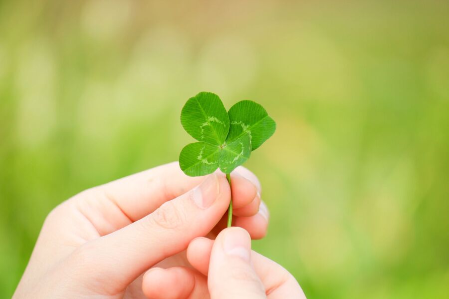 部屋を片づけて運気up 汚部屋住人が一念発起して成功をつかんだ話3つ 暮らしニスタ