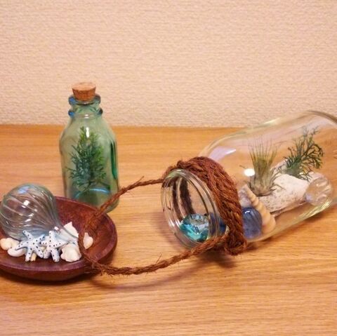空き瓶と100均で玄関ちょこっと夏デコ テラリウム風 暮らしニスタ 空き瓶と100均で玄関ちょこっと夏デコ テラリウム風 暮らしニスタ