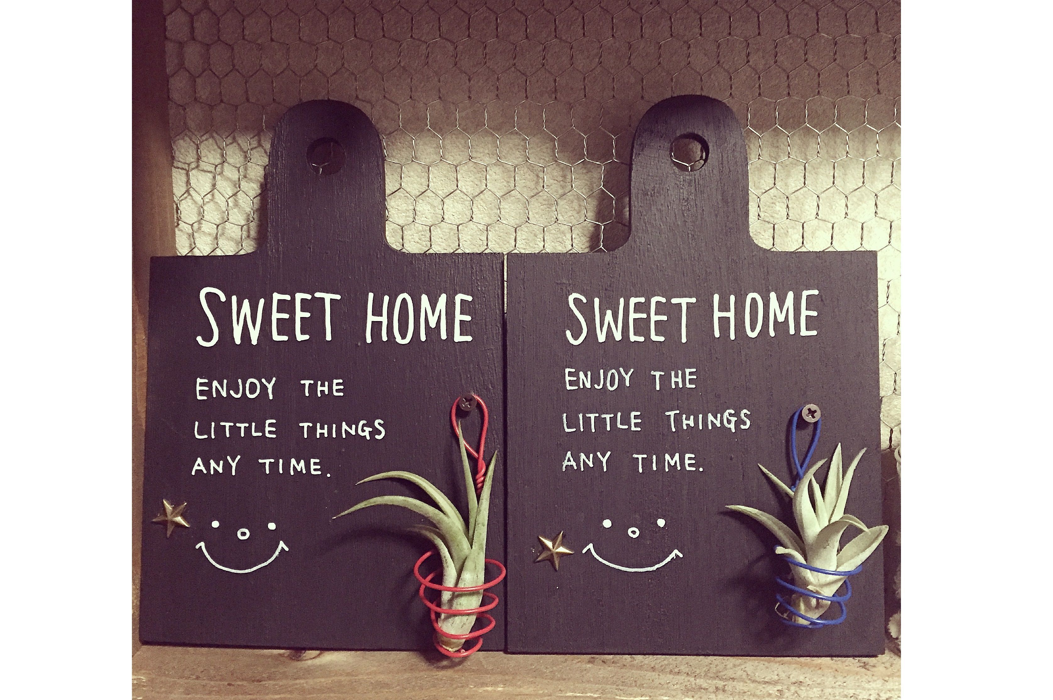 エアープランツのおしゃれな飾り方アイデア お部屋を魅力的な空間に 暮らしニスタ