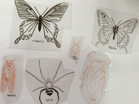 写して描いて プラ板で虫ピン標本箱の作り方 暮らしニスタ 写して描いて プラ板で虫ピン標本箱の作り方 暮らしニスタ