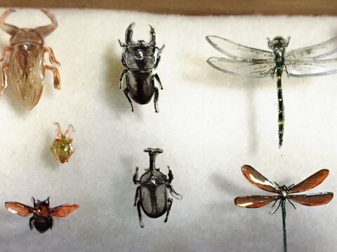 写して描いて プラ板で虫ピン標本箱の作り方 暮らしニスタ 写して描いて プラ板で虫ピン標本箱の作り方 暮らしニスタ