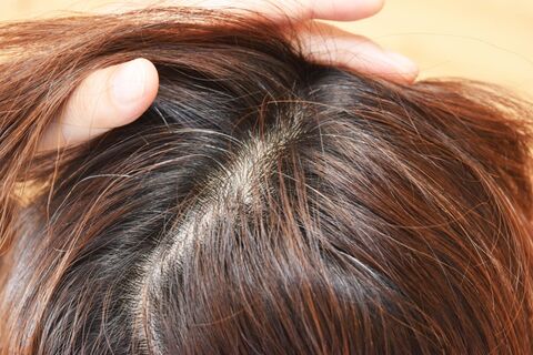 白髪が出始めた女性必見 美容師が教える 美しい黒髪をキープする方法 暮らしニスタ 白髪が出始めた女性必見 美容師が教える 美しい黒髪をキープする方法 暮らしニスタ