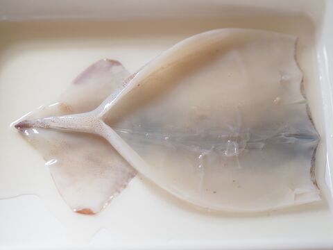 簡単ツルン イカの皮をむく方法 試してみた 暮らしニスタ