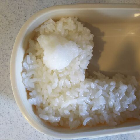 そぼろでアルパカ弁当 かわいい系キャラ弁 暮らしニスタ そぼろでアルパカ弁当 かわいい系キャラ弁 暮らしニスタ