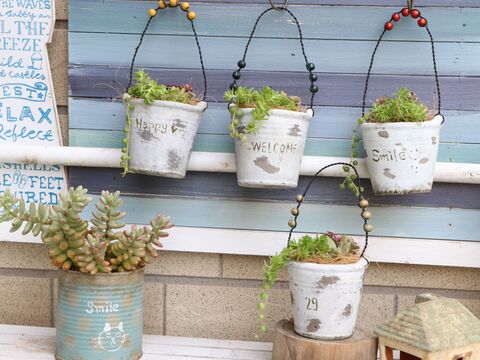 100均リメイク 多肉植物がよく似合うグリーンポット 暮らしニスタ 100均リメイク 多肉植物がよく似合うグリーンポット 暮らしニスタ