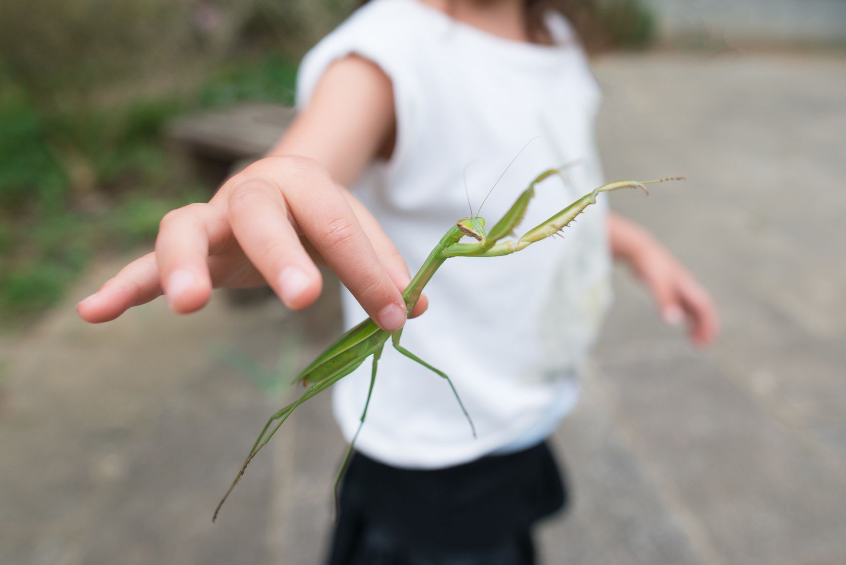 子どもの虫嫌いを克服するとっておきの方法とは!?