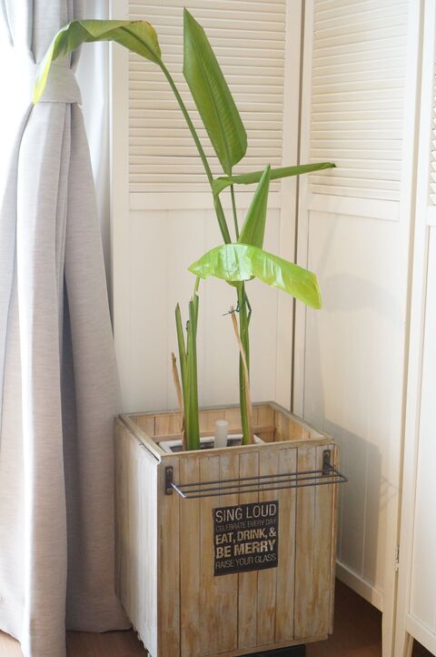 100均フォトフレームとすのこdiy 可動式植木鉢カバー作り 暮らしニスタ 100均フォトフレームとすのこdiy 可動式植木鉢カバー作り 暮らしニスタ