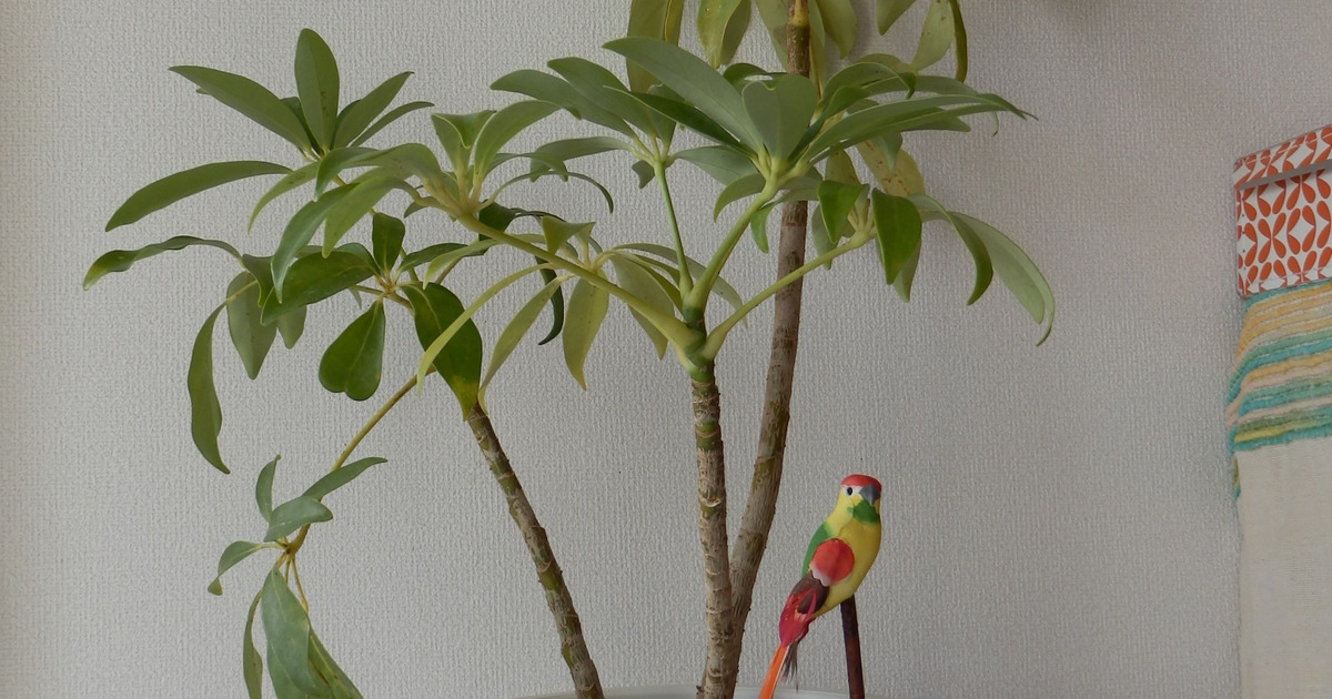 プレゼントにぴったり！デコパージュ鉢にメッセージを♪｜ハンドメイド