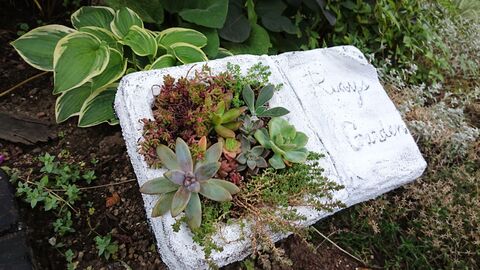 土台は発泡スチロール ブック型プランター 暮らしニスタ 土台は発泡スチロール ブック型プランター 暮らしニスタ