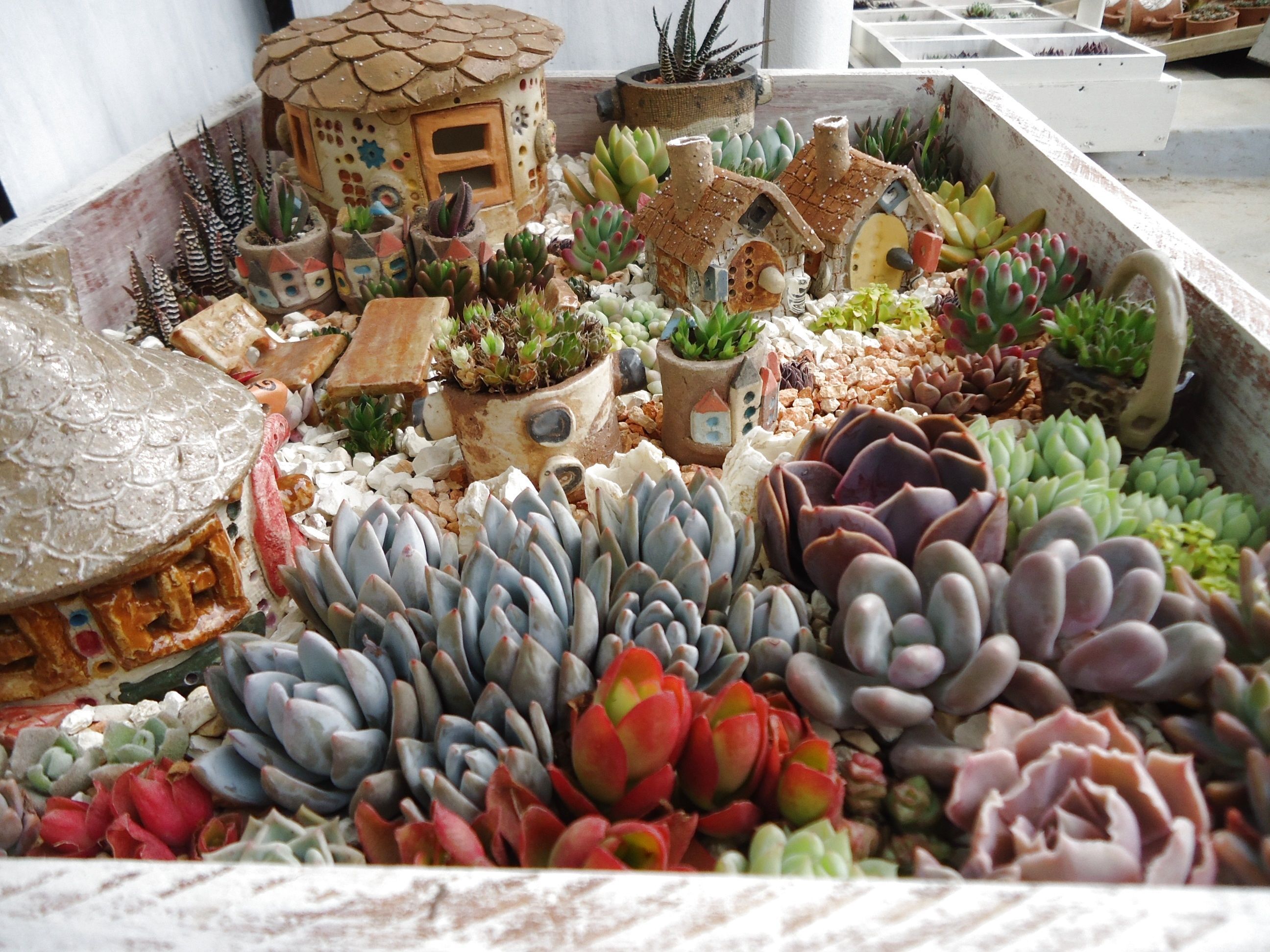 賃貸マンションでもベランダガーデニングを楽しむ方法10選 暮らしニスタ