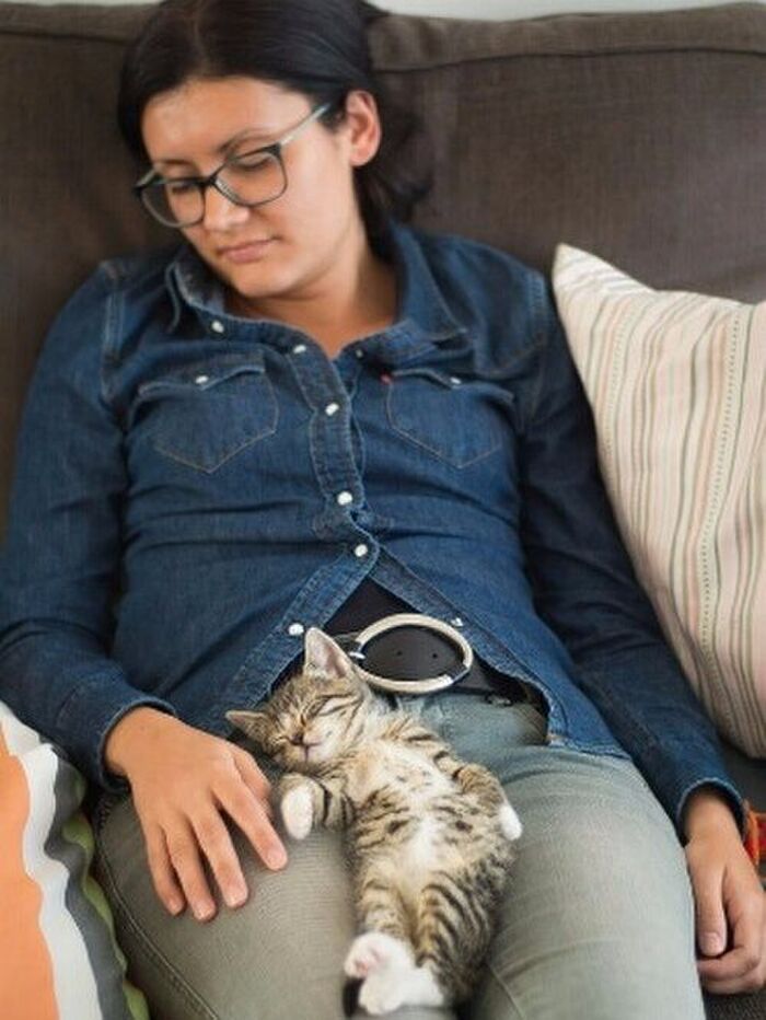 ◆飼い主や他の猫と似たポーズで眠る