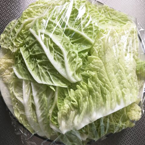 フライパンde簡単 白菜の鶏シュウマイ 暮らしニスタ