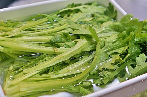 風邪予防 鍋だけじゃない 春菊 菊菜 のやみつきサラダ のレシピ 暮らしニスタ 風邪予防 鍋だけじゃない 春菊 菊菜 のやみつきサラダ のレシピ 暮らしニスタ