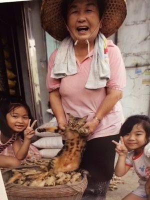 ☆猫を飼っている人は