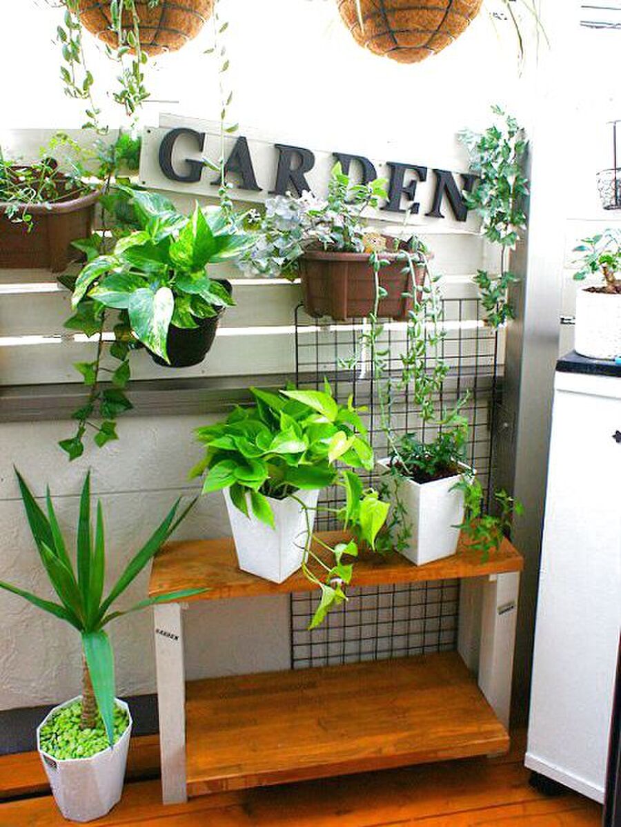 賃貸マンションでもベランダガーデニングを楽しむ方法10選 暮らしニスタ 賃貸マンションでもベランダガーデニングを楽しむ方法10選 暮らしニスタ