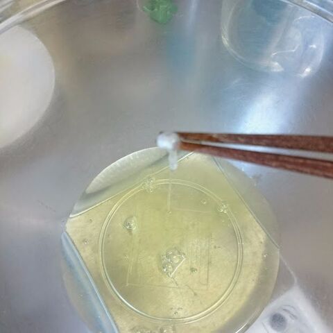 ユニコーン メレンゲクッキー 暮らしニスタ