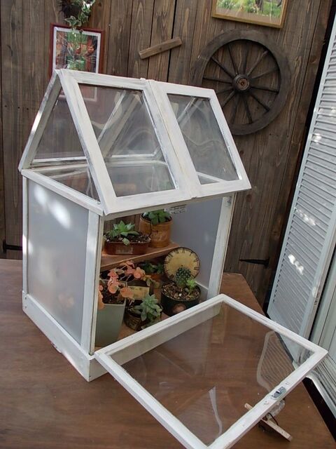 100均diy インテリアにもなる多肉植物用ミニ温室 テラリウム 暮らしニスタ 100均diy インテリアにもなる多肉植物用ミニ温室 テラリウム 暮らしニスタ
