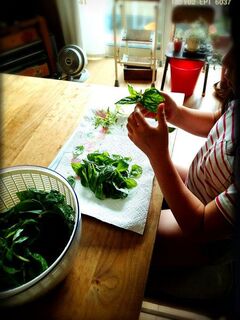 ジェノベーゼを手軽に ソースの作り方と活用レシピ17選 暮らしニスタ ジェノベーゼを手軽に ソースの作り方と活用レシピ17選 暮らしニスタ