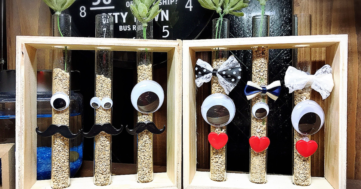 未知の生物 灬º 艸º灬 暮らしニスタ