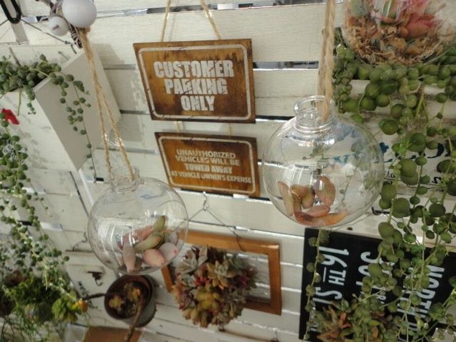 賃貸マンションでもベランダガーデニングを楽しむ方法10選 暮らしニスタ 賃貸マンションでもベランダガーデニングを楽しむ方法10選 暮らしニスタ