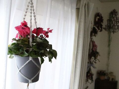 100均毛糸や麻紐で 手作りプラハンでハンギンググリーン 暮らしニスタ 100均毛糸や麻紐で 手作りプラハンでハンギンググリーン 暮らしニスタ