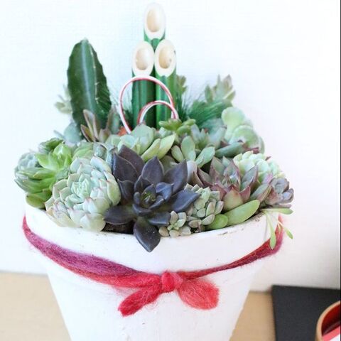 100均門松プラスで多肉植物のお正月寄せ植え 暮らしニスタ 100均門松プラスで多肉植物のお正月寄せ植え 暮らしニスタ