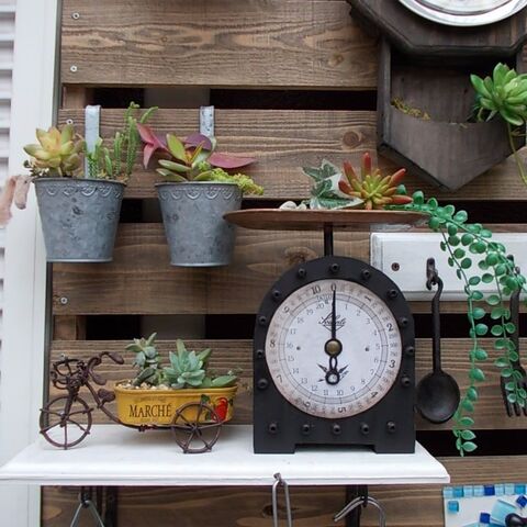 100均diy なんちゃってスケール 薄型でどこでも飾れる 多肉植物プランターにも 暮らしニスタ 100均diy なんちゃってスケール 薄型でどこでも飾れる 多肉植物プランターにも 暮らしニスタ