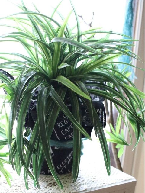 簡単 巻くだけ 100均手ぬぐいで男前な鉢カバー 暮らしニスタ 簡単 巻くだけ 100均手ぬぐいで男前な鉢カバー 暮らしニスタ