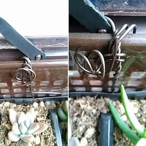 100均で簡単 セリアの書類ケースとフレームで作る植物の防寒 防雨ケース 暮らしニスタ