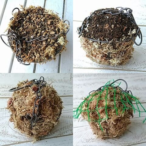 セリアの100均ハンギングバスケットで作る カラフル多肉ボール 暮らしニスタ