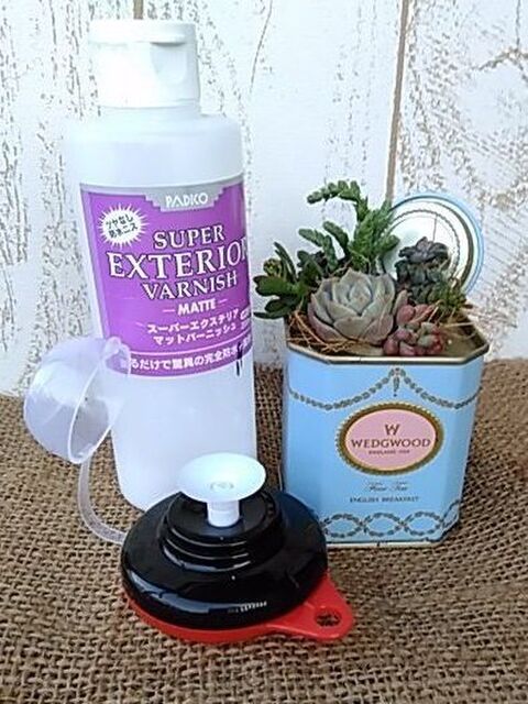簡単 ガス抜きで楽々底穴開け 多肉植物の寄せ植えinお気に入りの缶 暮らしニスタ 簡単 ガス抜きで楽々底穴開け 多肉植物の寄せ植えinお気に入りの缶 暮らしニスタ