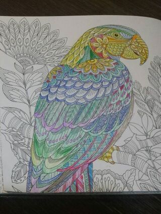 300円で大人の塗り絵 暮らしニスタ 300円で大人の塗り絵 暮らしニスタ