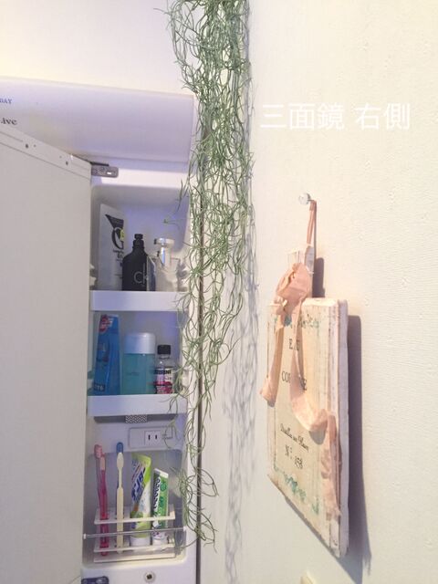 洗面台 鏡裏の収納 暮らしニスタ